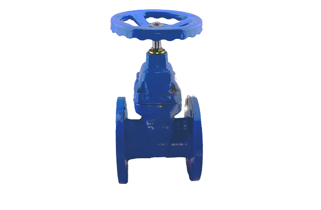 F4 Gate Valve with Brass Nut